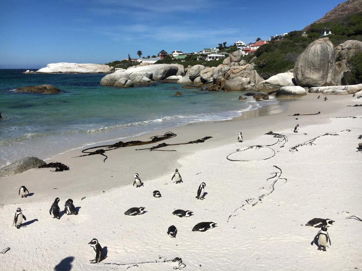 Seaforth Suite Simonʼs Town Exteriör bild